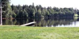 Licht strömt durch Bäume in stiller Natur – Erinnerung an geistige Fähigkeiten